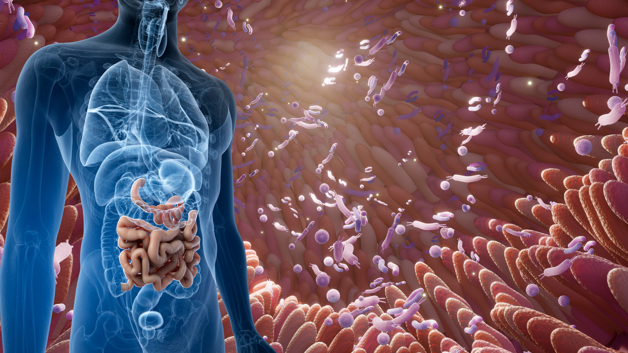 The Superpower Your Gut Bacteria Can Create (And Why You Want It) - MD Logic Health