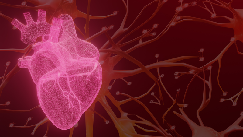 Collagen and Cardiovascular Structure Explained - MD Logic Health