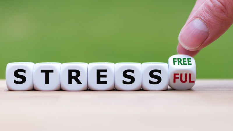 The-Physical-Toll-How-Stress-Impacts-Your-Entire-Body - MD Logic Health