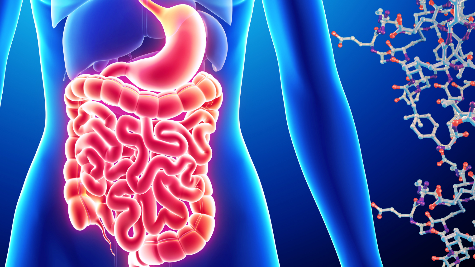 Could Your Gut Be Affecting Your Hormones? - MD Logic Health