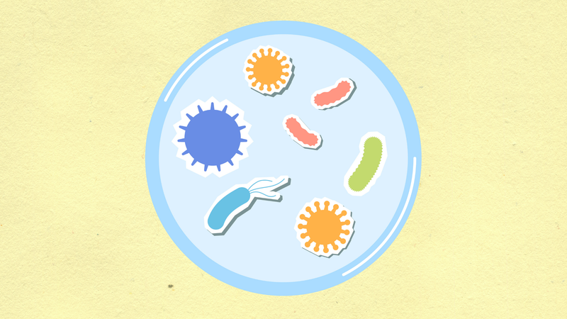5 Signs Your Gut Microbiome Is Out of Balance (And How to Fix It)