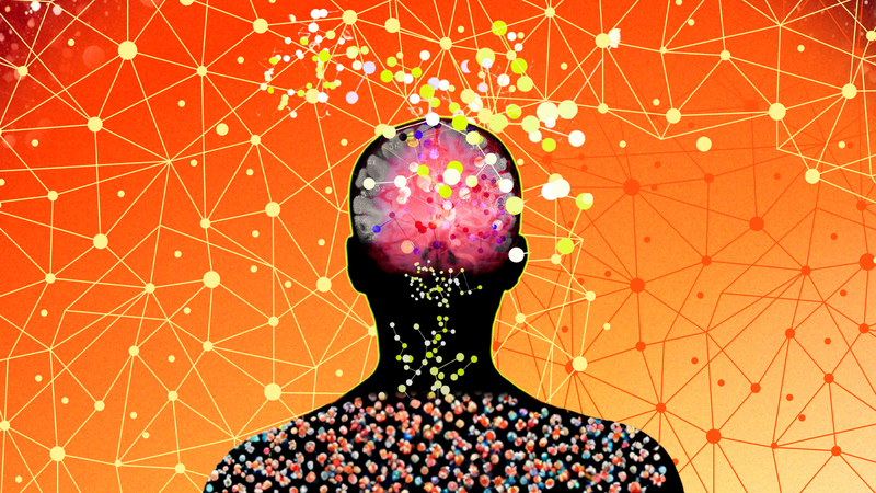 How to Train Your Brain for Neuroplasticity