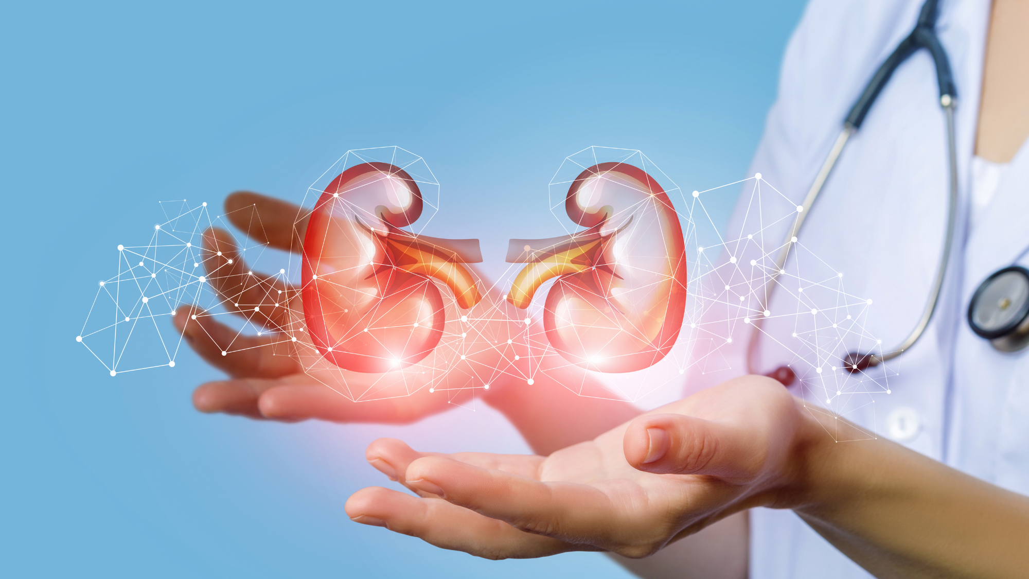 Your Kidneys Work Harder Than You Think - MD Logic Health