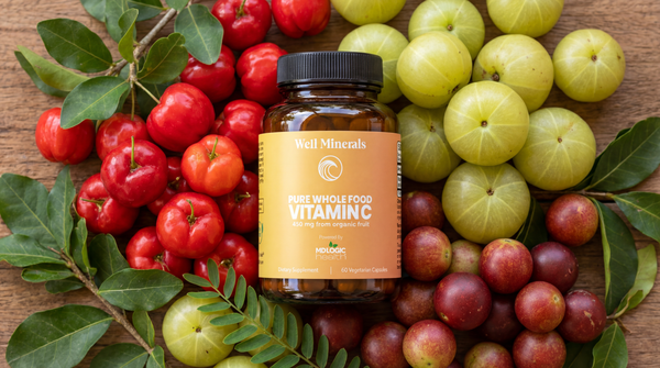MD Logic Health & Well Minerals Launch Pure Whole Food Vitamin C, a Premium, 100% Natural Vitamin C Supplement Sourced Exclusively from Organic Fruit