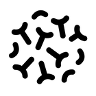 Bifidobacterium